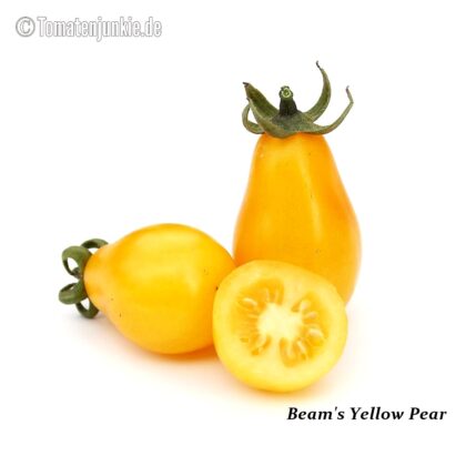 Tomatensorte Beam's Yellow Pear