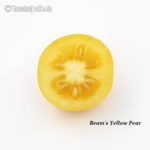 Tomatensorte Beam's Yellow Pear