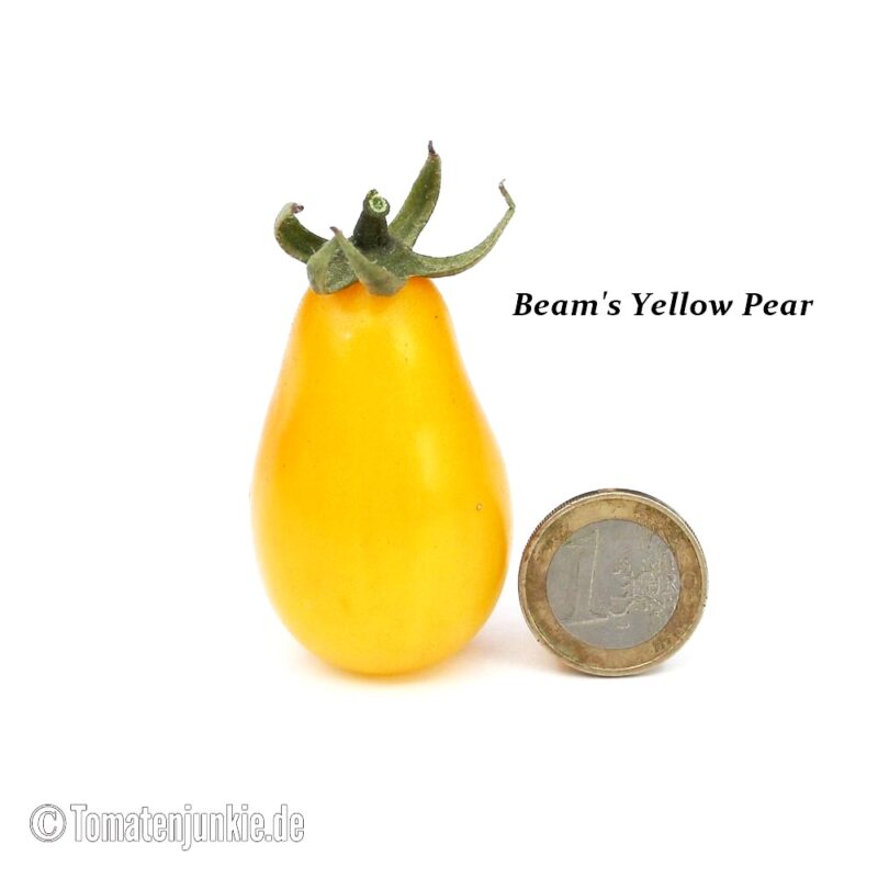 Tomatensorte Beam's Yellow Pear