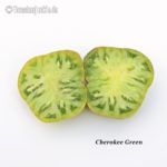 Tomatensorte Cherokee Green