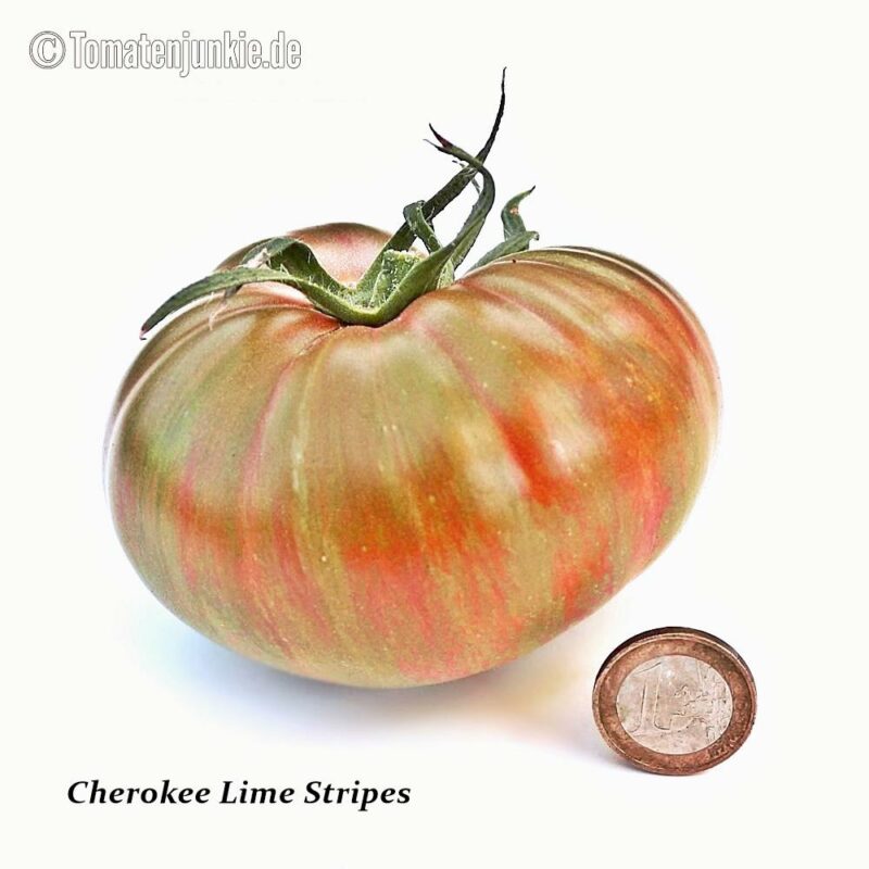 Tomatensorte Cherokee Lime Stripes