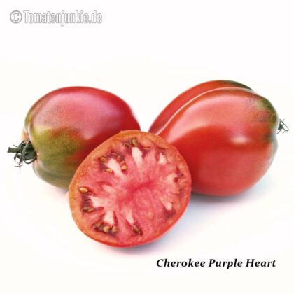 Tomatensorte Cherokee Purple Heart