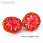 Tomatensorte Cherokee Purple Heart