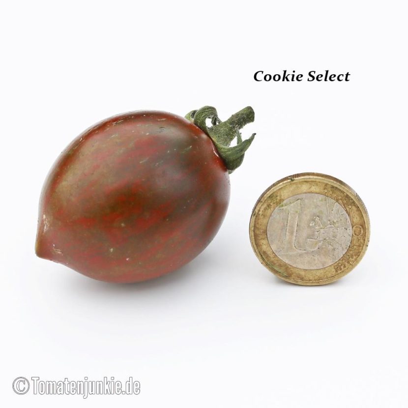 Tomatensorte Cookie Select
