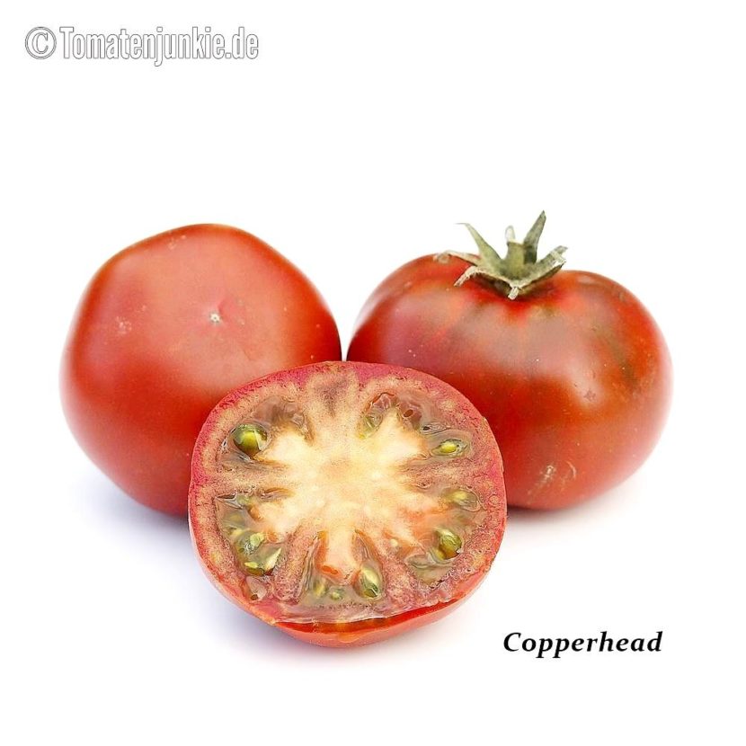 Tomatensorte Copperhead