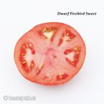 Tomatensorte Dwarf Firebird Sweet