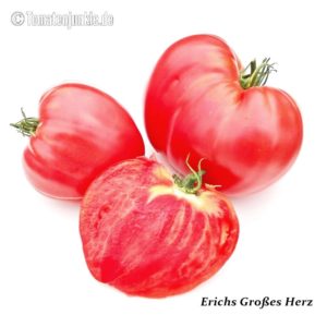 Tomatensorte Erichs Großes Herz
