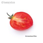 Tomatensorte Geranium Kiss