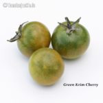 Tomatensorte Green Krim Cherry