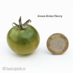 Tomatensorte Green Krim Cherry