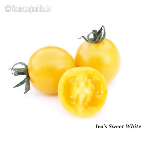 Tomatensorte Iva's Sweet White