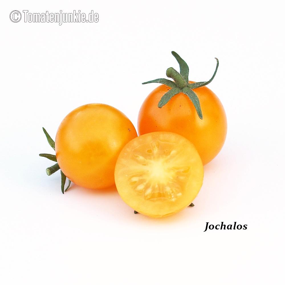 Tomatensorte Jochalos