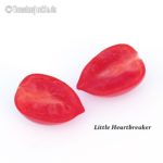 Tomatensorte Little Heartbreaker