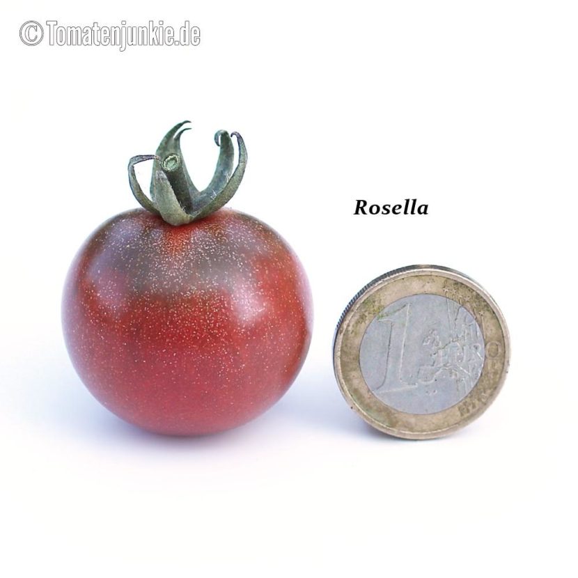 Tomatensorte Rosella