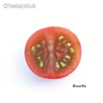 Tomatensorte Rosella