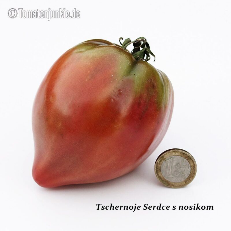 Tomatensorte Tschernoje Serdce s nosikom