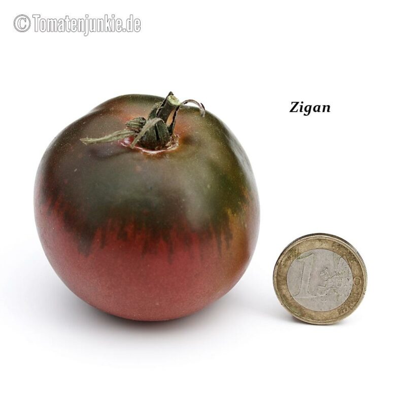 Tomatensorte Zigan