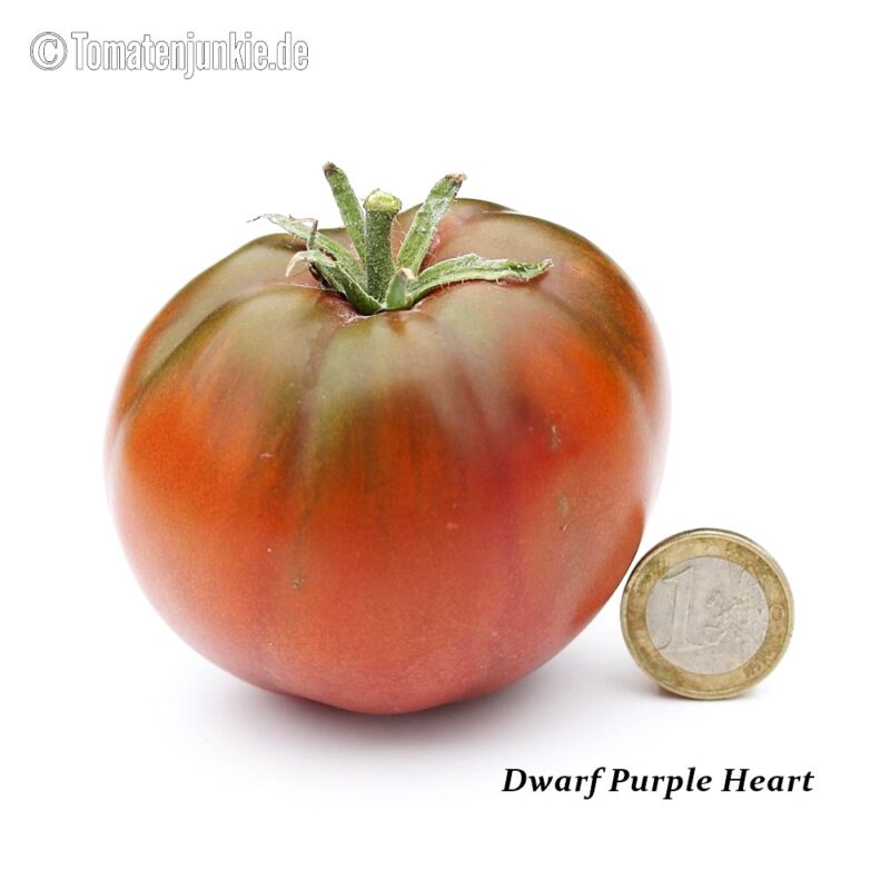 Tomatensorte Dwarf Purple Heart