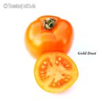 Tomatensorte Gold Dust