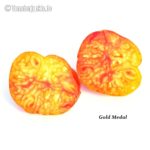 Tomatensorte Gold Medal