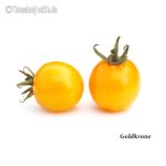 Tomatensorte Goldkrone