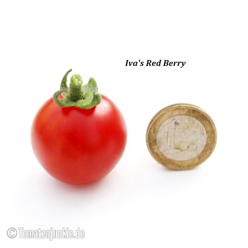 Iva's Red Berry