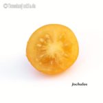 Tomatensorte Jochalos