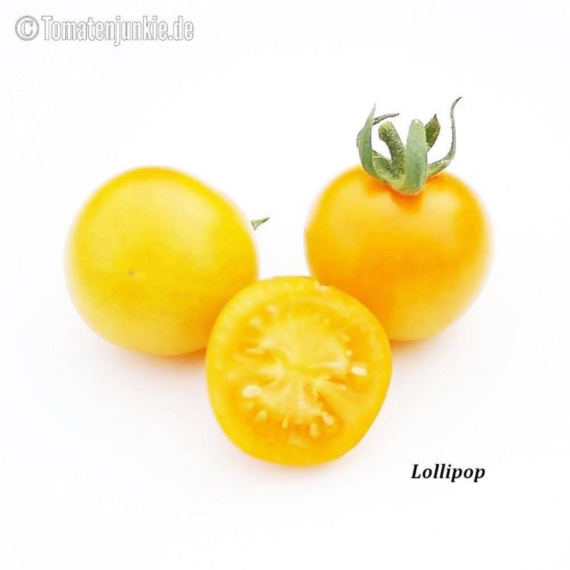Tomatensorte Lollipop