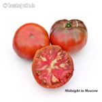 Welche Punkte es vor dem Kaufen die Tomate ochsenherz zu bewerten gibt