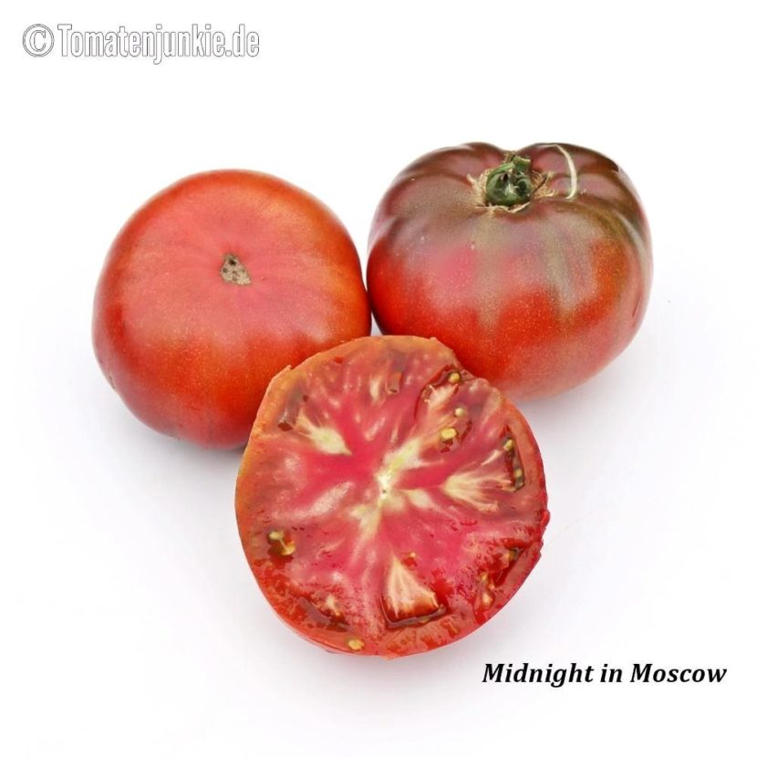 Tomatensorte Midnight in Moscow