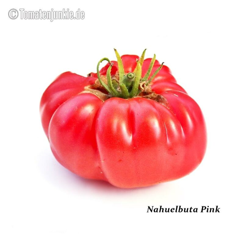 Tomatensorte Nahuelbuta Pink