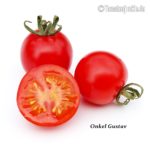 Tomatensorte Onkel Gustav
