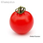 Tomatensorte Onkel Gustav