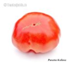 Tomatensorte Puszta Kolosz