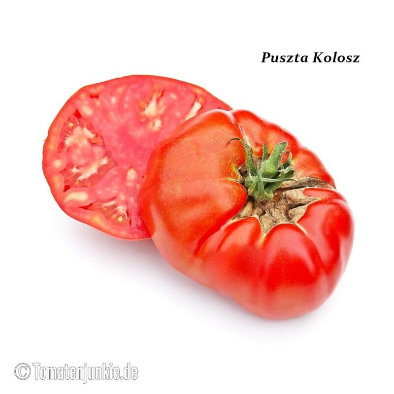 Tomatensorte Puszta Kolosz
