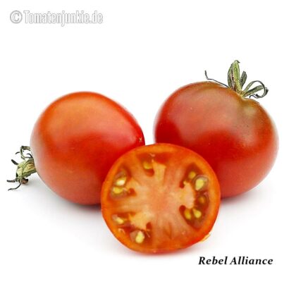 Tomatensorte Rebel Alliance