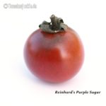 Tomatensorte Reinhard's Purple Sugar