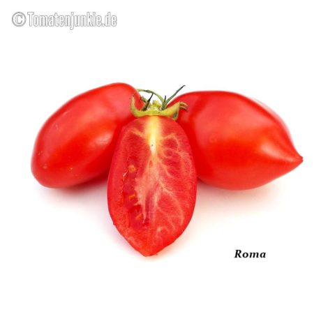 Tomatensorte Roma