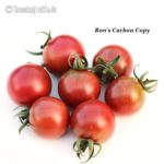 Tomatensorte Ron's Carbon Copy