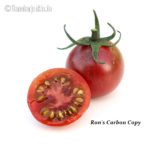 Tomatensorte Ron's Carbon Copy