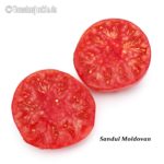 Tomatensorte Sandul Moldovan