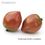 Tomatensorte Tschernoje Serdce s nosikom