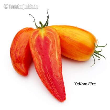 Tomatensorte Yellow Fire