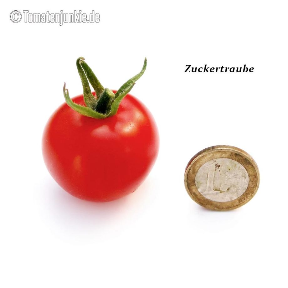 Tomatensorte Zuckertraube