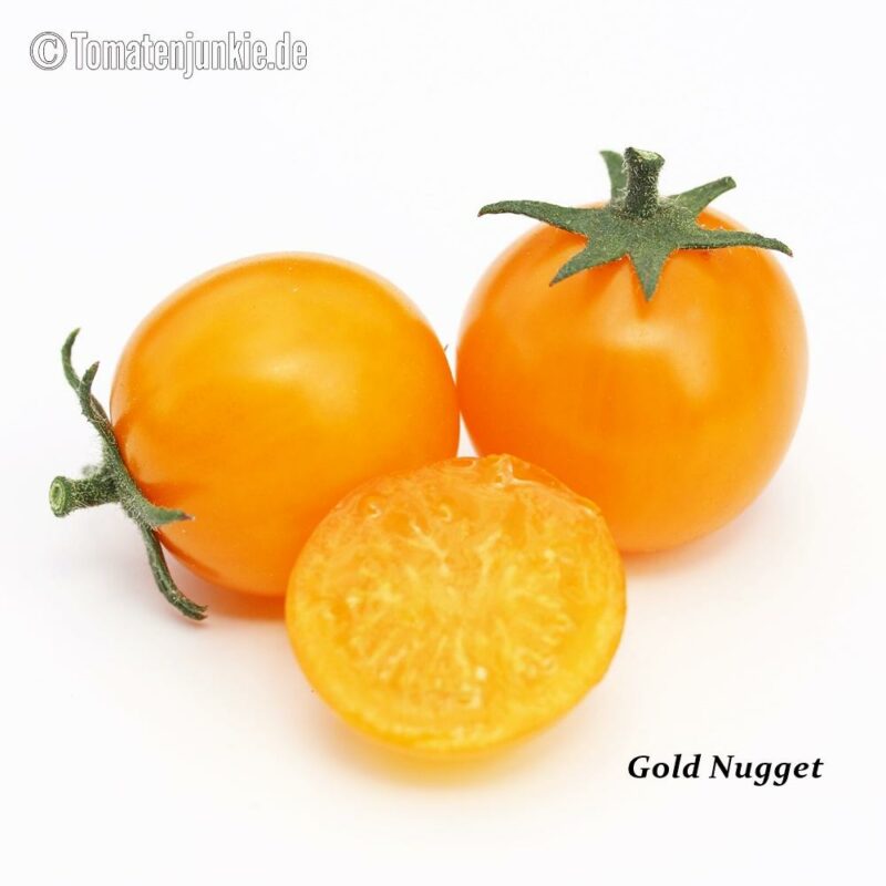 Tomatensorte Gold Nugget