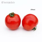Tomatensorte Almut