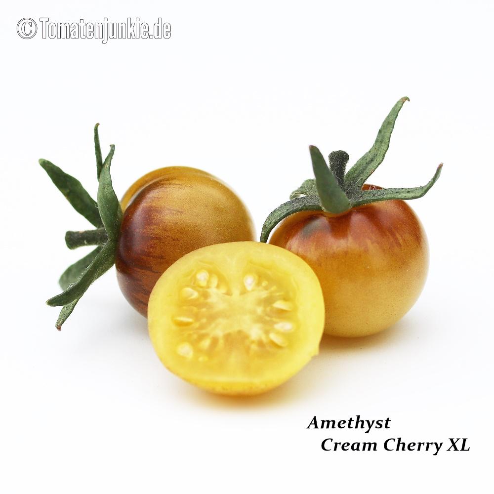 Tomatensorte Amethyst Cream Cherry XL