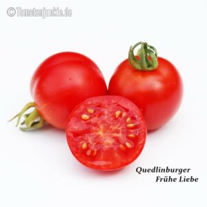 Tomatensorte Frühe Liebe