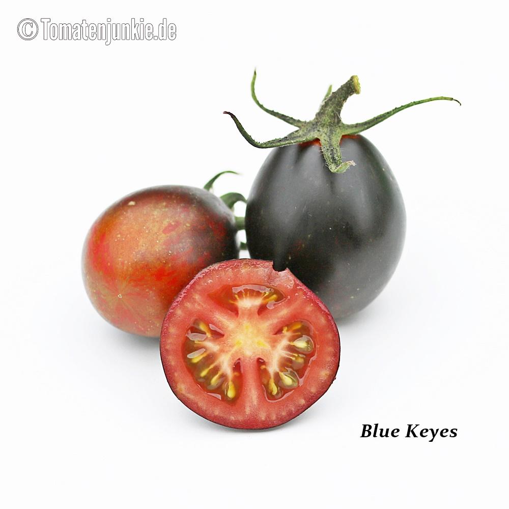 Tomatensorte Blue Keyes