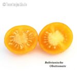 Tomatensorte Bolivianische Obsttomate